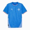 Maillot de Supporter Islande Domicile 2024 Pour Homme